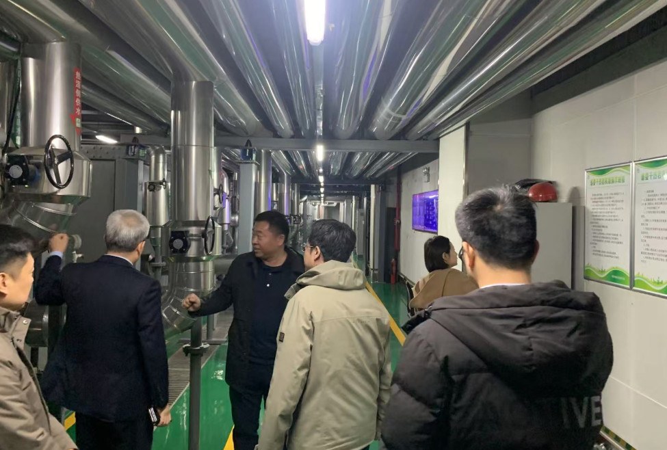 1744329430211370.jpg c02.jpg